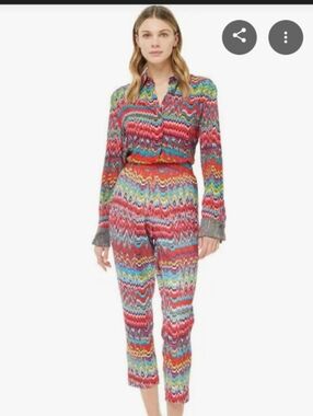 Robert Graham Dani Pants Chevron Abstract